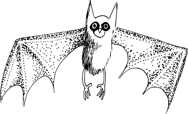 Words With -at